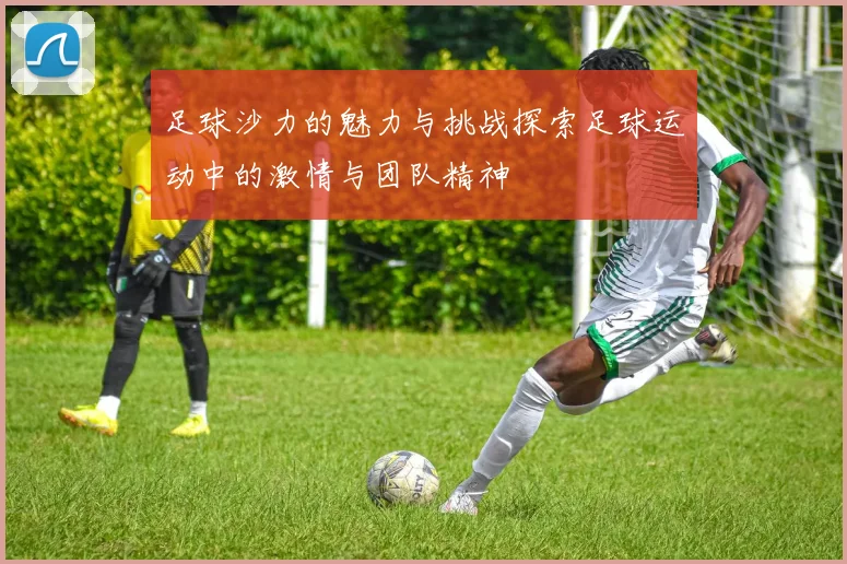 足球沙力的魅力与挑战探索足球运动中的激情与团队精神